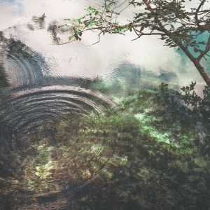 cristina-gottardi-314271 (1)