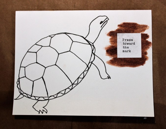 line drawing of a box turtle