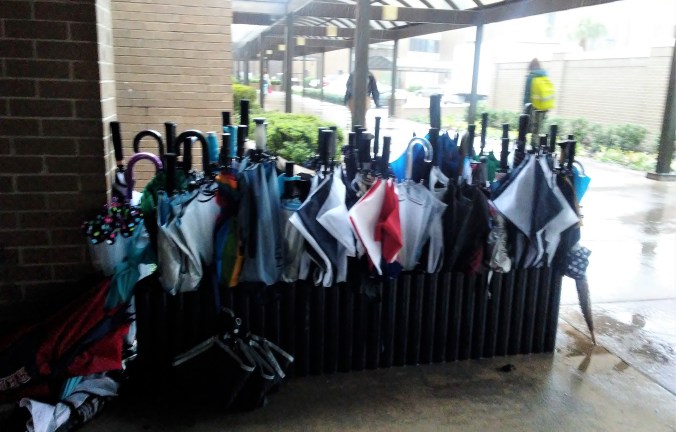 umbrella rack, full, on a rainy day